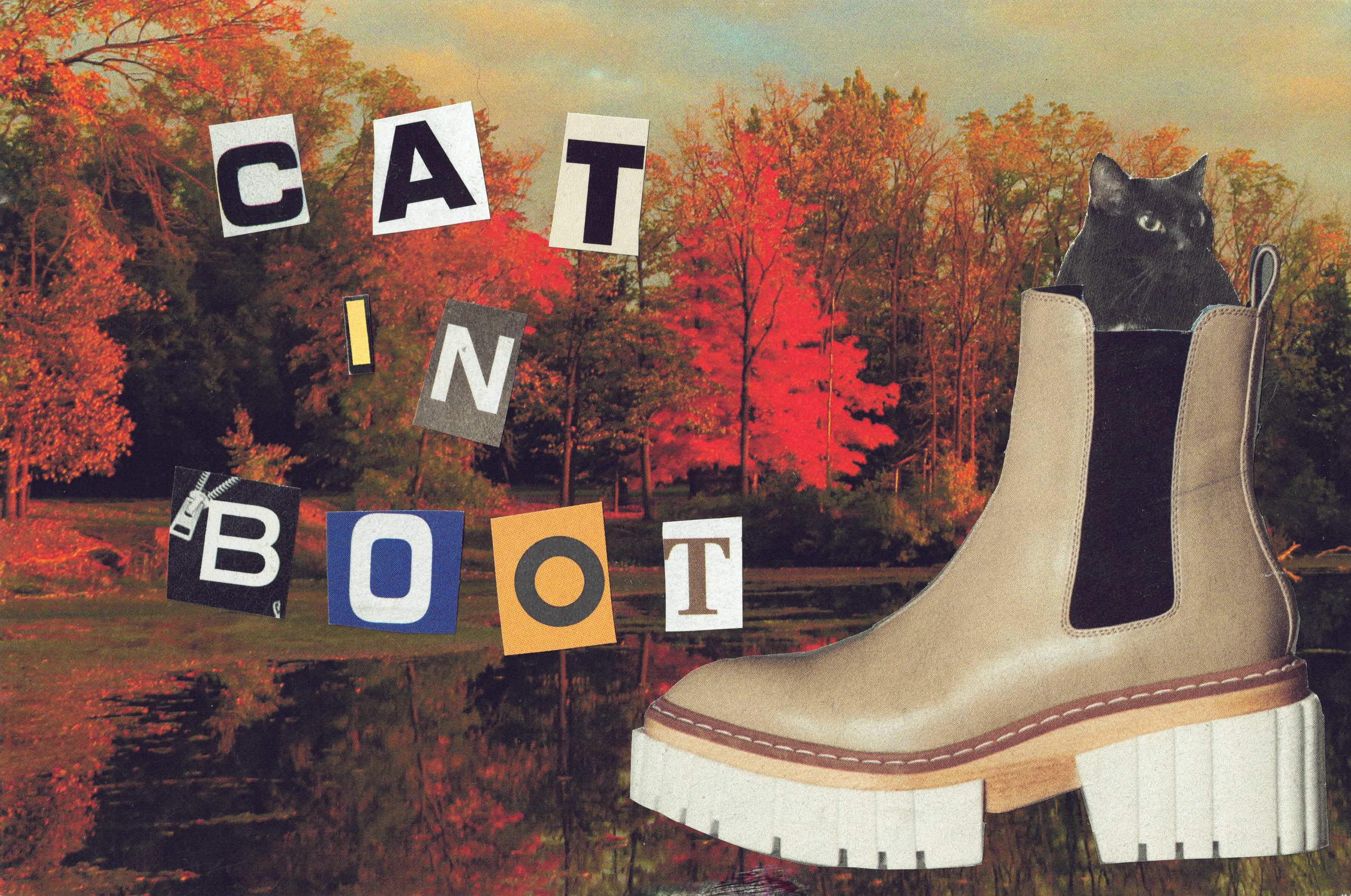 cat in boot